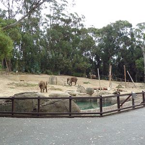 6-Acre African Elephant Exhibit