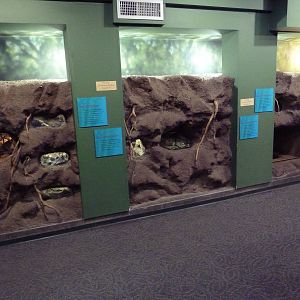 Children's Zoo - Insect House Exhibits