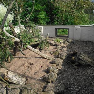 Outdoor Meerkat Enclosure - 01/10/2011