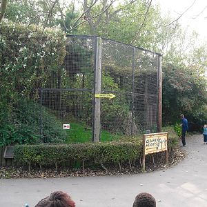 Owl Aviary - 01/10/2011