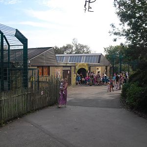 Big Cat House - 01/10/2011