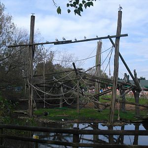 Monkey Island - 01/10/2011