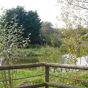 Gorilla Mountain - 01/10/2011