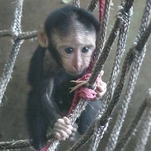 NEW KID ON THE BLOCK