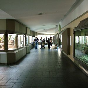 Reptile Floor at Berlin Zoo Aquarium, 31/08/11