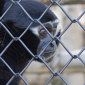 The Twycross Experience - 30/09/2011