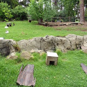 Children's Zoo - Rabbit Exhibit