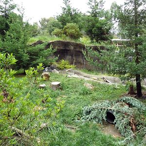 Children's Zoo - River Otter Exhibit