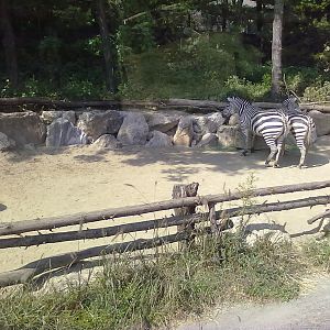 Everland Zoo