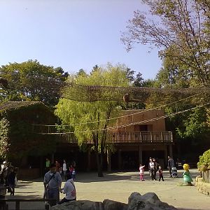 Everland Zoo