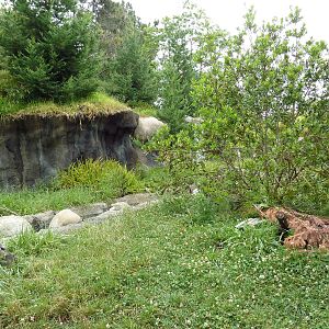 Children's Zoo - River Otter Exhibit