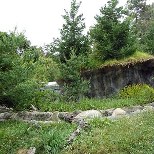Children's Zoo - River Otter Exhibit