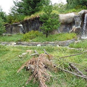 Children's Zoo - River Otter Exhibit