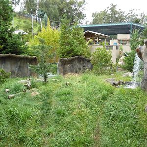 Children's Zoo - River Otter Exhibit
