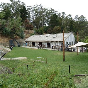 Children's Zoo - Goat Petting Yard