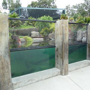 Children's Zoo - American Alligator Exhibit