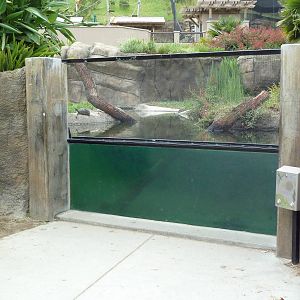 Children's Zoo - American Alligator Exhibit
