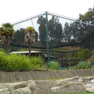Children's Zoo - Fruit Bat Exhibit