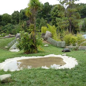 Children's Zoo - Aldabra Tortoise Exhibit
