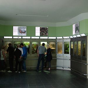 Invertebrate Exhibits at Berlin Zoo Aquarium, 31/08/11