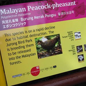 Southeast Asian Birds Aviary - New sign
