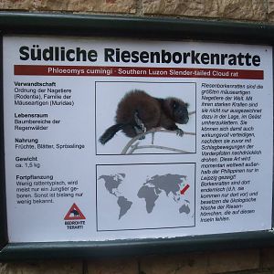 Signage Example at Leipzig, 02/09/11