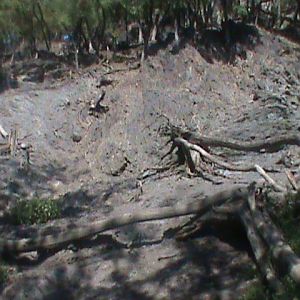 tur enclosure 140911