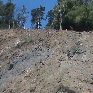 tahr enclosure 140911