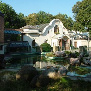 Baikal Seal Pool at Leipzig, 02/09/11