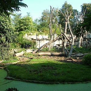 Bear and Macaque Exhibit at Leipzig, 02/09/11