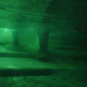 Underwater Elephant at Leipzig, 02/09/11