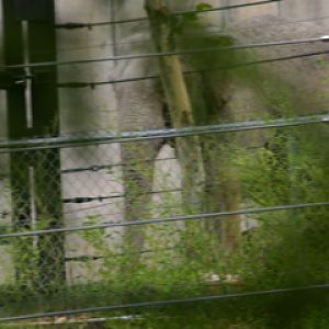 View from safari train