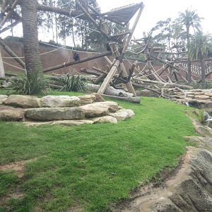 Chimp enclosure