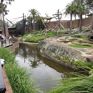 Chimp enclosure