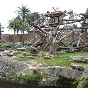 Chimp enclosure