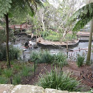Cleaning the waterfowl pond.