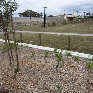 Carpark next to the entry
