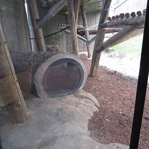 Hollow log for children in Chimp exhibit