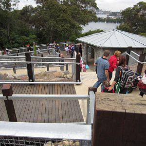 Walkway from Barbary Sheep to Bongos and Tahrs