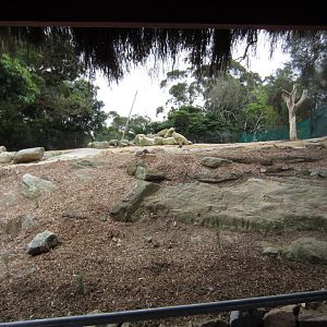 Ostrich enclosure