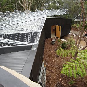 Tree Kangaroo enclosure