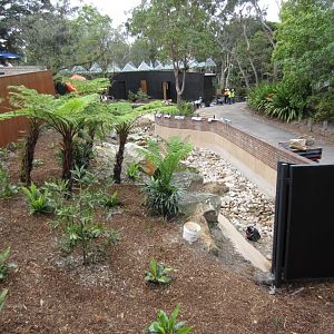 Tree Kangaroo enclosure
