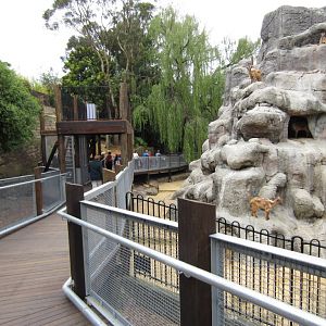 Walkway behind Tahr Mountain