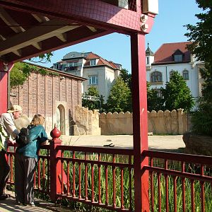 Elephant Viewing at Leipzig, 02/09/11