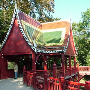 Elephant Viewing Area at Leipzig, 02/09/11
