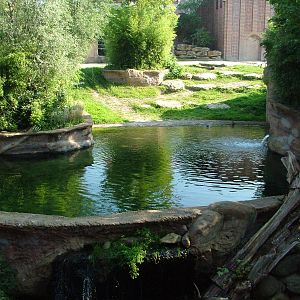 Elephant Pool at Leipzig, 02/09/11