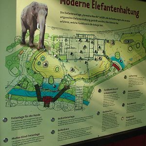 Plan of Elephant Exhibit at Leipzig, 02/09/11