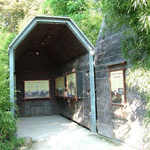 Historical Elephant Crate at Leipzig, 02/09/11