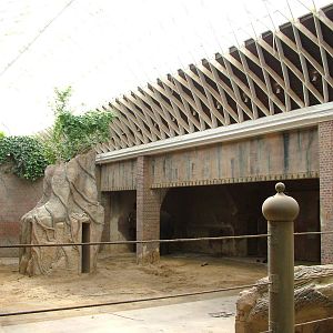 Elephant House Interior at Leipzig, 02/09/11