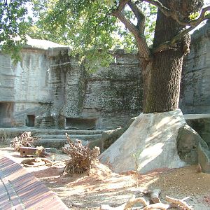 Prairie Marmot Exhibit at Leipzig, 02/09/11